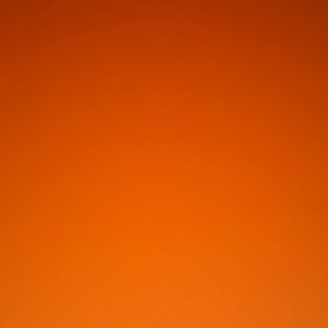 Meet your Posher, Kaitlyn 🥂